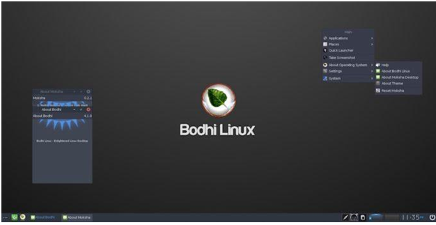 Lightweight Linux Distro