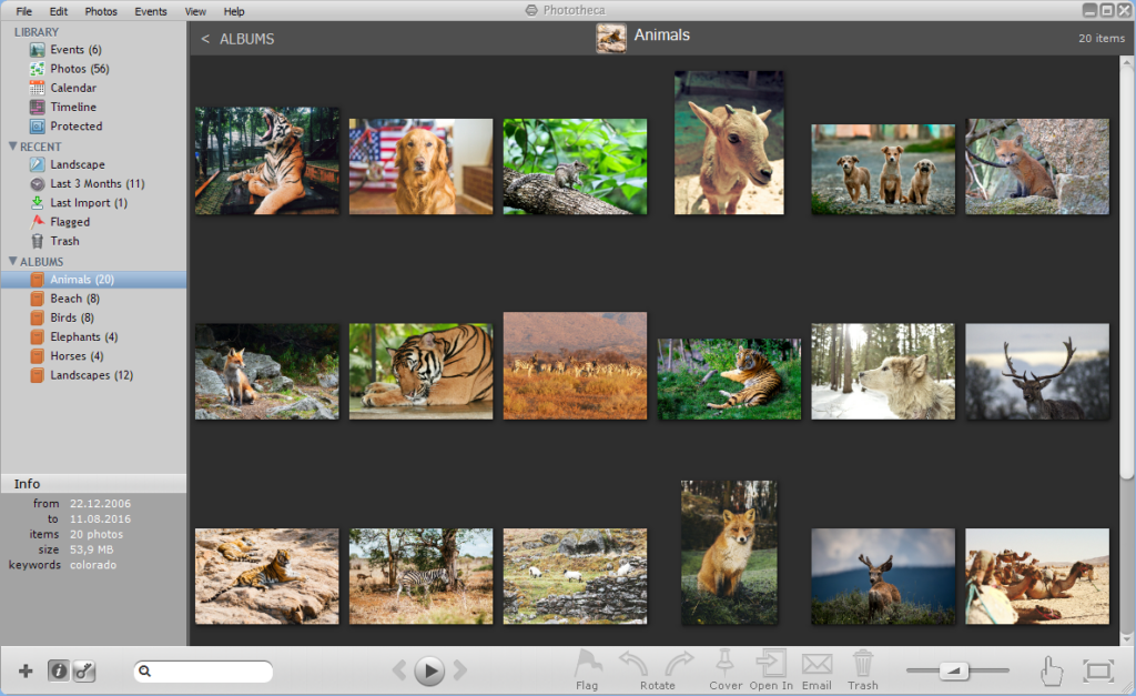 what is the best alternative to picasa?